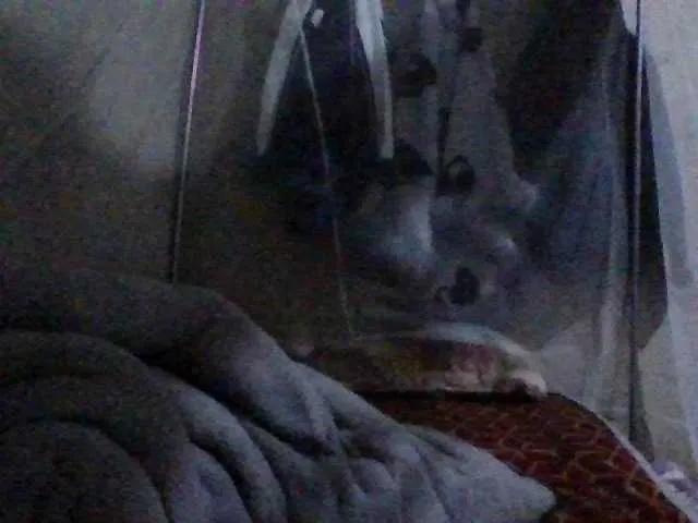 PrettyBelly — Your polite love language