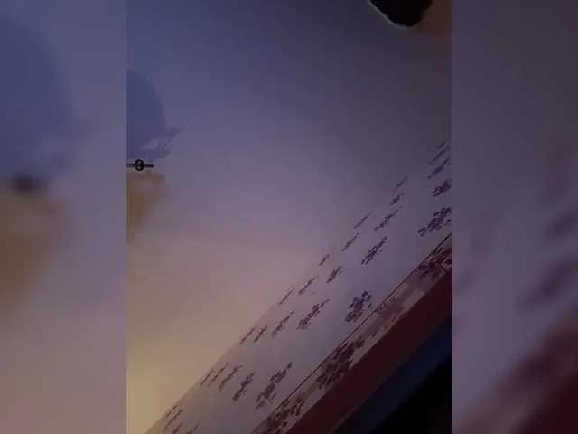 Rinaaamur on BongaCams