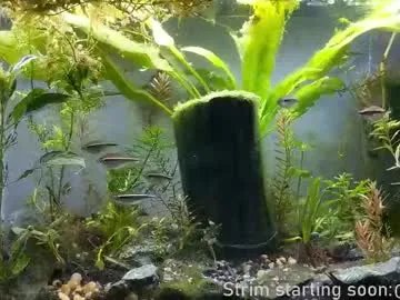 booker_baxton on Chaturbate 