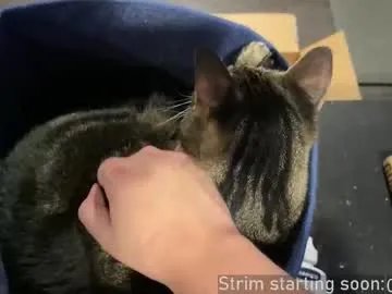 booker_baxton on Chaturbate 