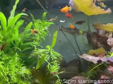 booker_baxton on Chaturbate 