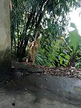 Bear_bear0 — sweet