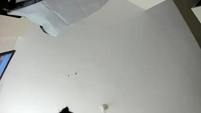 evely_coelloo on StripChat 