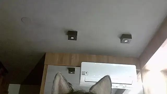 SkinnyKitten — show bellymostrar barriga