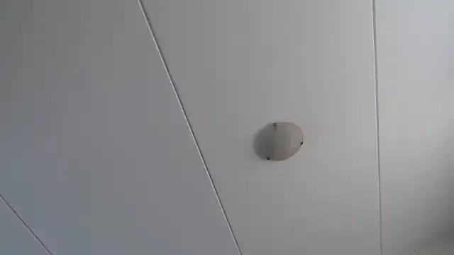 StupidNaturalPhatBooty_'s avatar